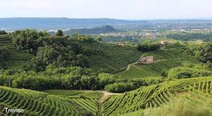 Vins de Vénétie